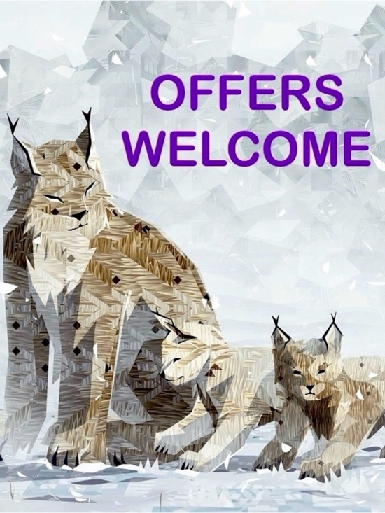 Other - 🦩🦩🦩Make me an offer! 🦩🦩🦩